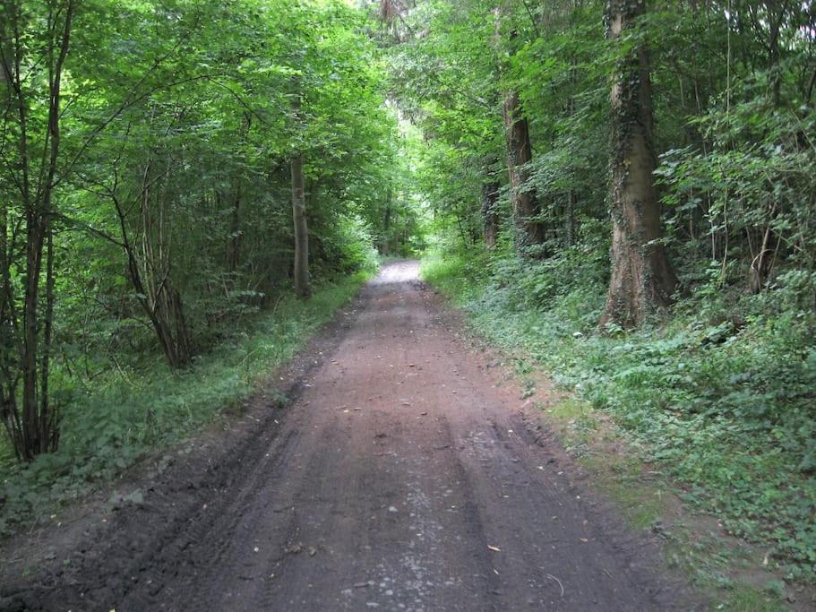 Gite Rural "L'Anseromia" Dinant Kültér fotó