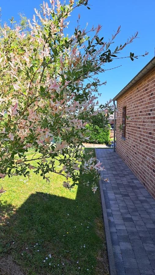 Gite Rural "L'Anseromia" Dinant Kültér fotó